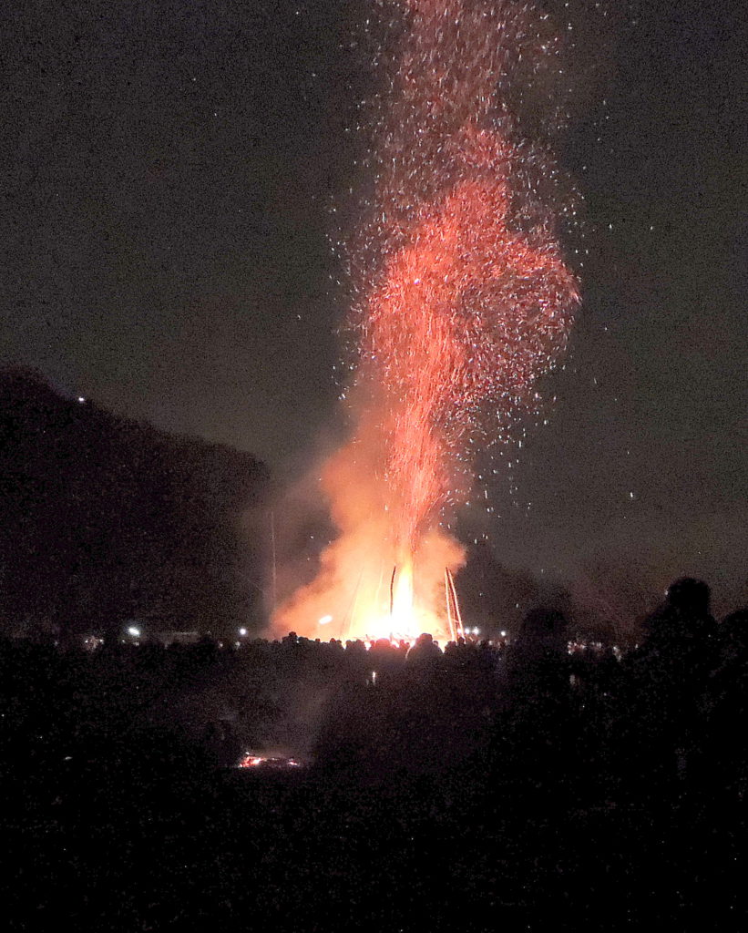 DSCN2646